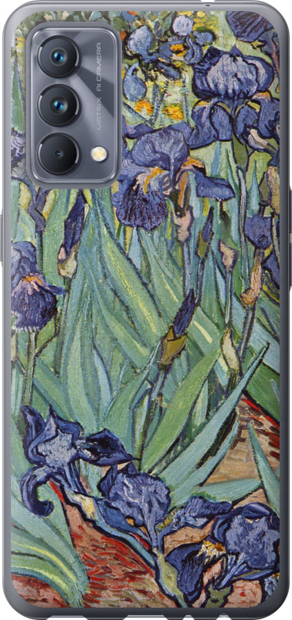 Вінсент Ван Гог. Іриси