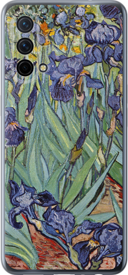 Вінсент Ван Гог. Іриси