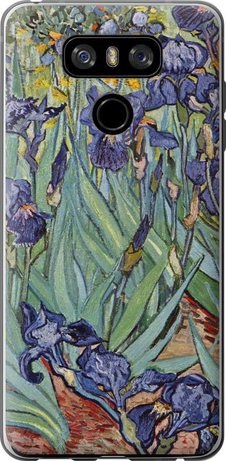 Вінсент Ван Гог. Іриси