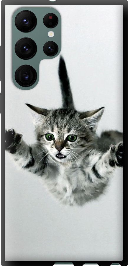 Літаюче кошеня