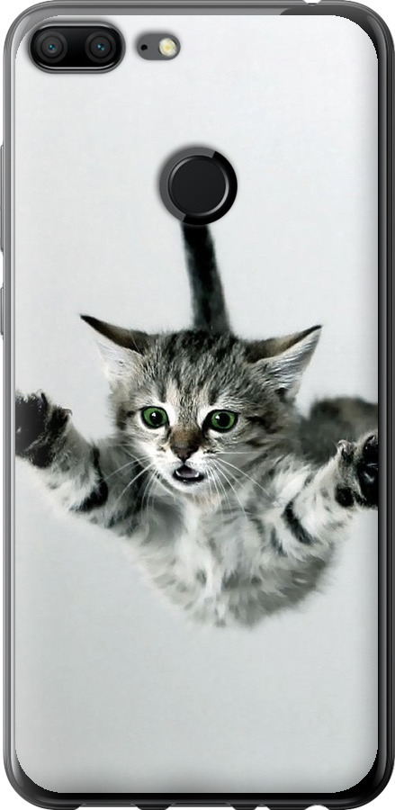 Літаюче кошеня