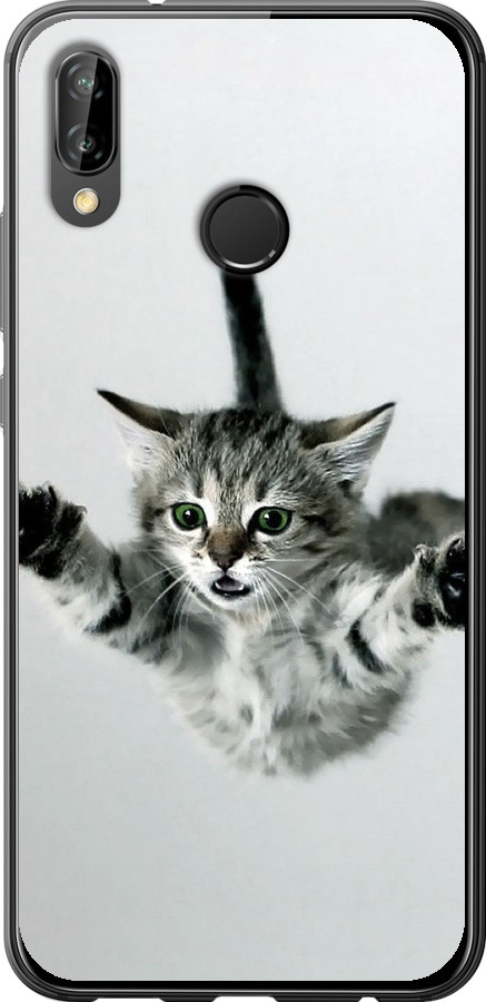 Літаюче кошеня