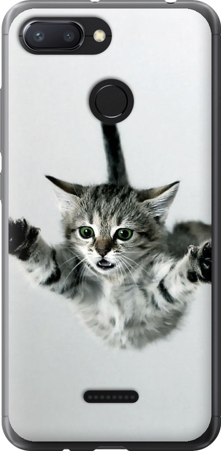Літаюче кошеня