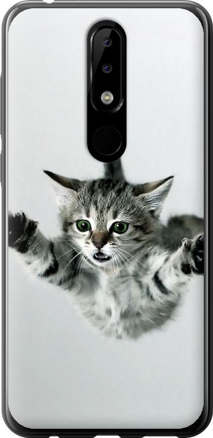 Літаюче кошеня