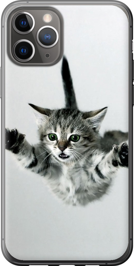Літаюче кошеня
