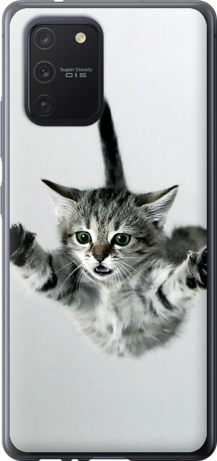 Літаюче кошеня