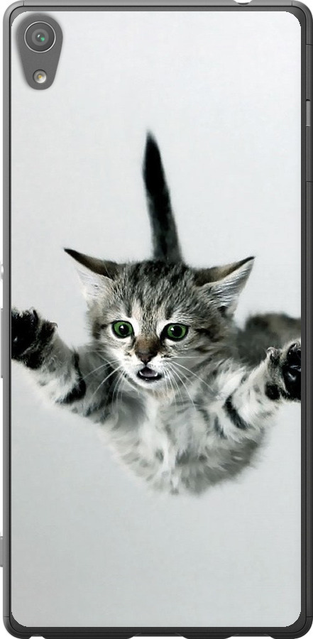 Літаюче кошеня