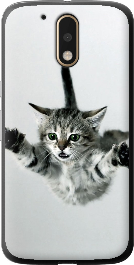 Літаюче кошеня