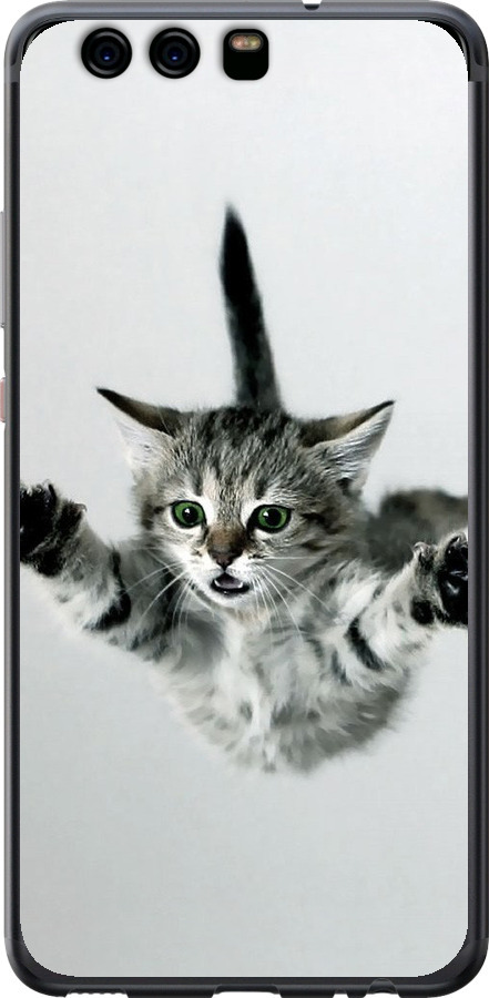 Літаюче кошеня