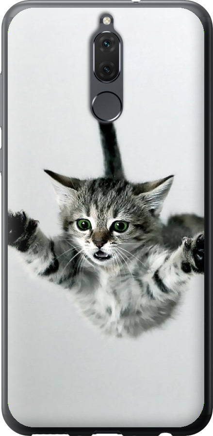 Літаюче кошеня