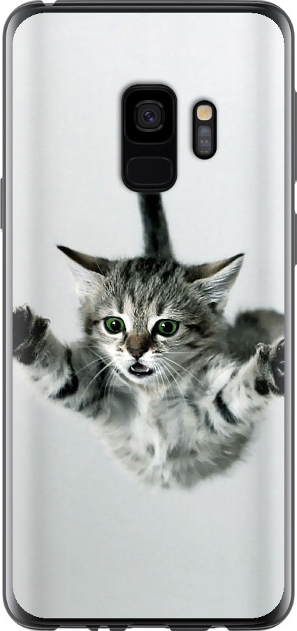 Літаюче кошеня