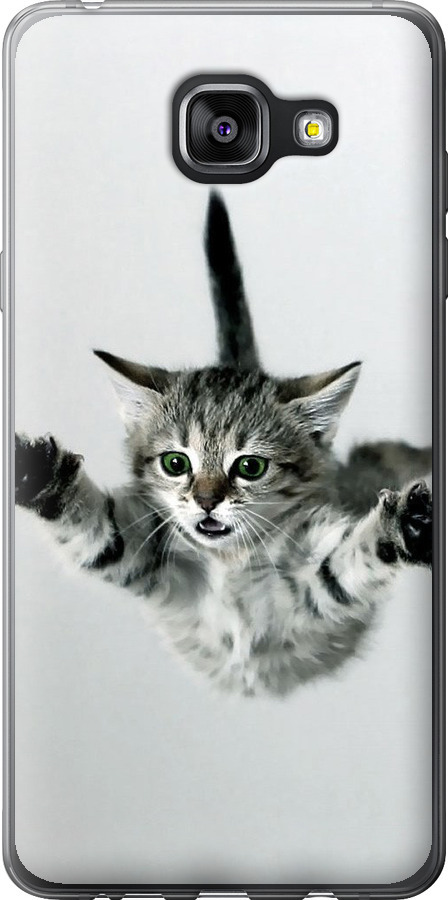 Літаюче кошеня