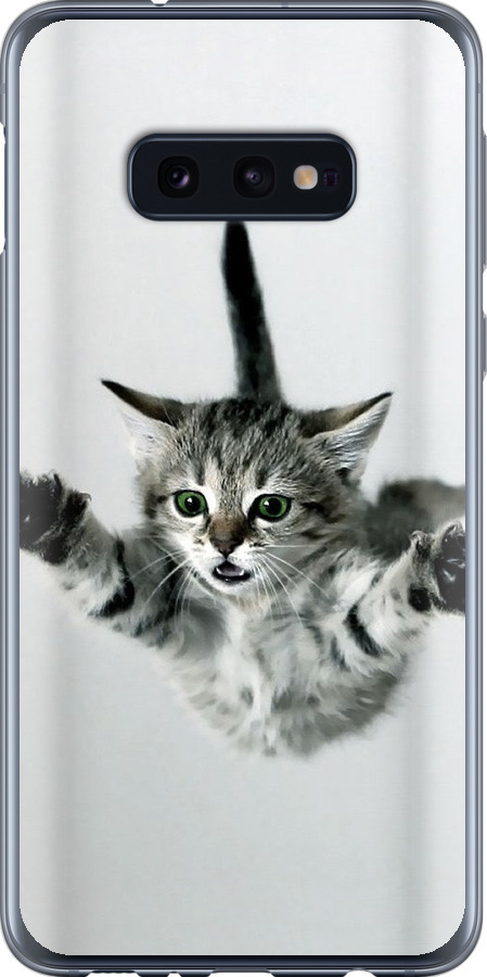 Літаюче кошеня