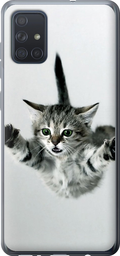 Літаюче кошеня