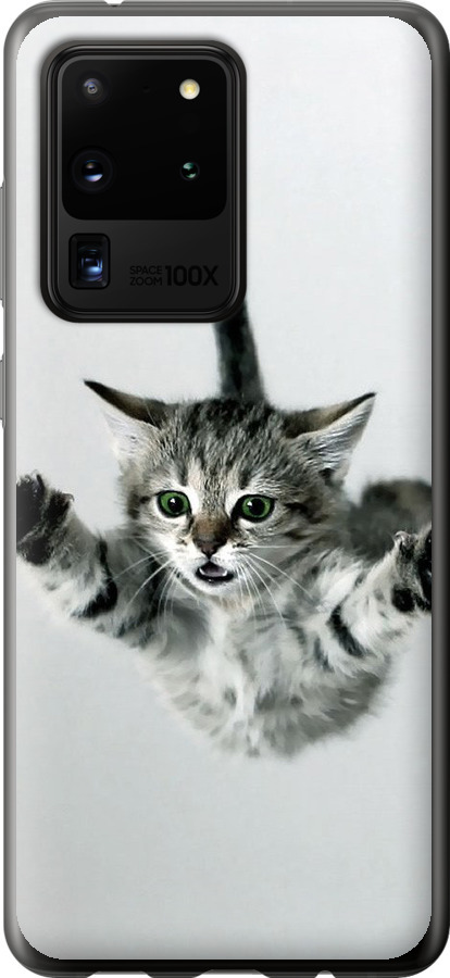Літаюче кошеня