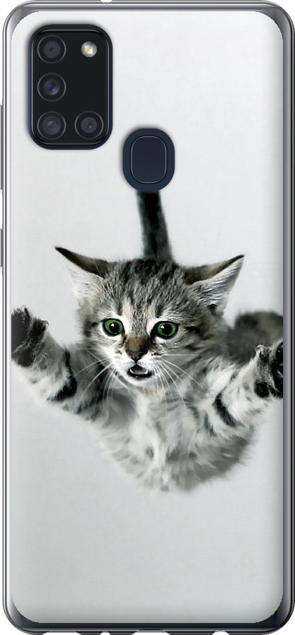 Літаюче кошеня