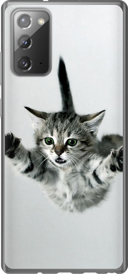 Літаюче кошеня