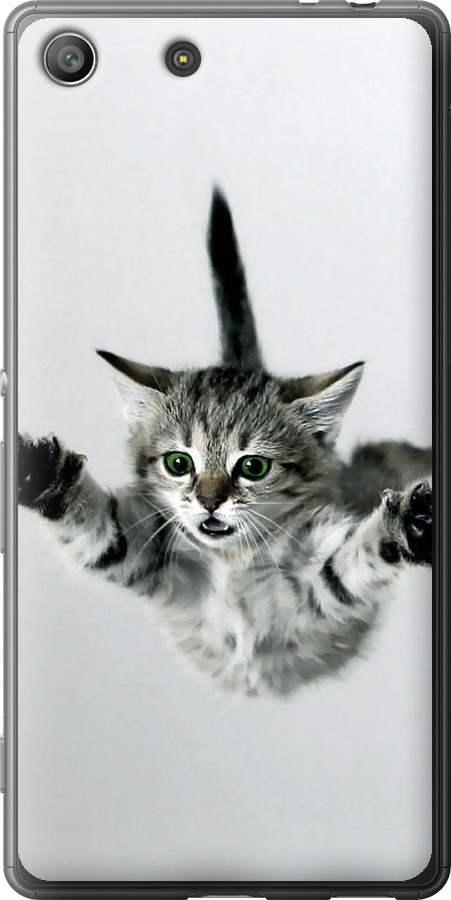 Літаюче кошеня