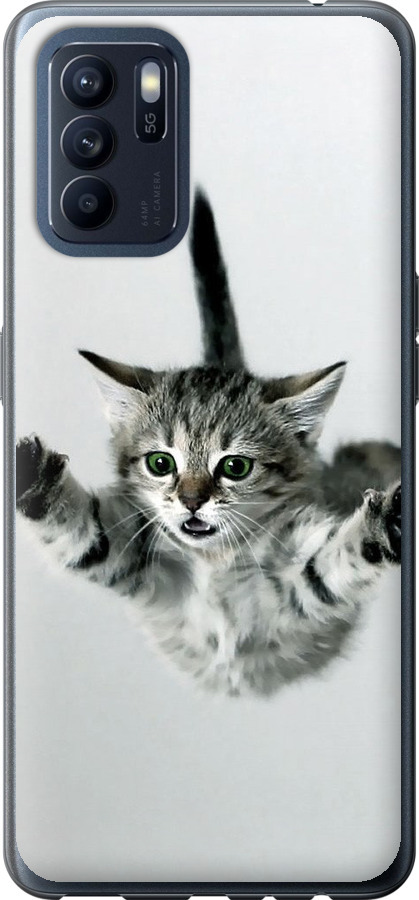 Літаюче кошеня