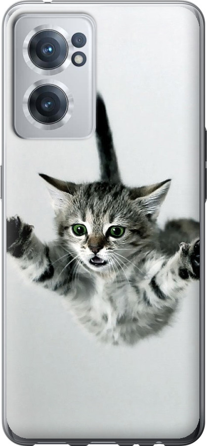 Літаюче кошеня