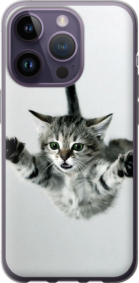 Літаюче кошеня
