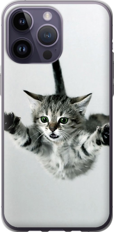 Літаюче кошеня