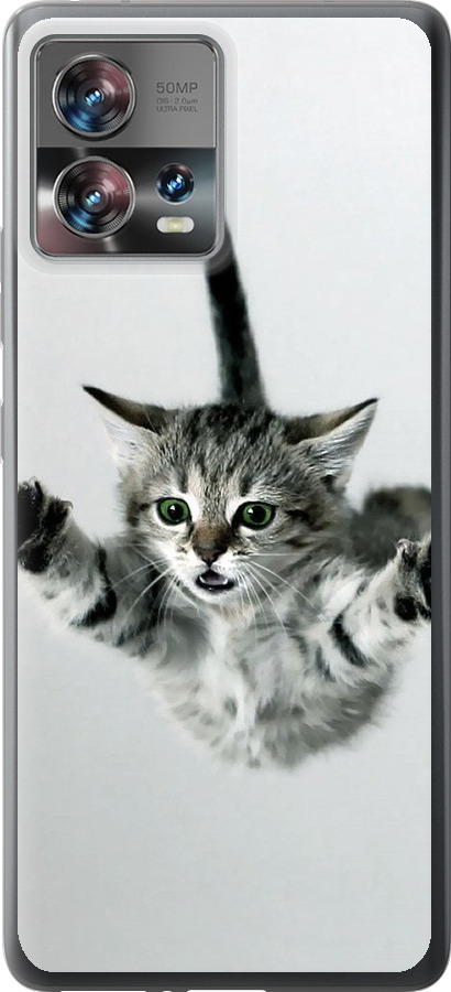 Літаюче кошеня