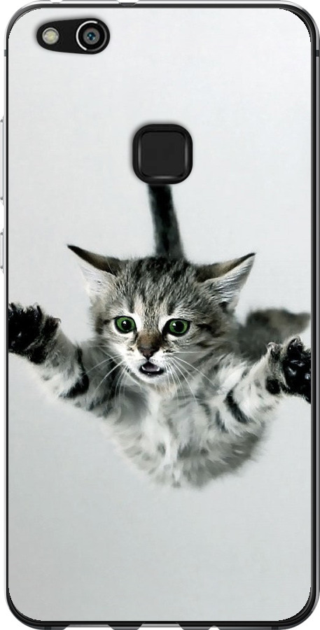 Літаюче кошеня