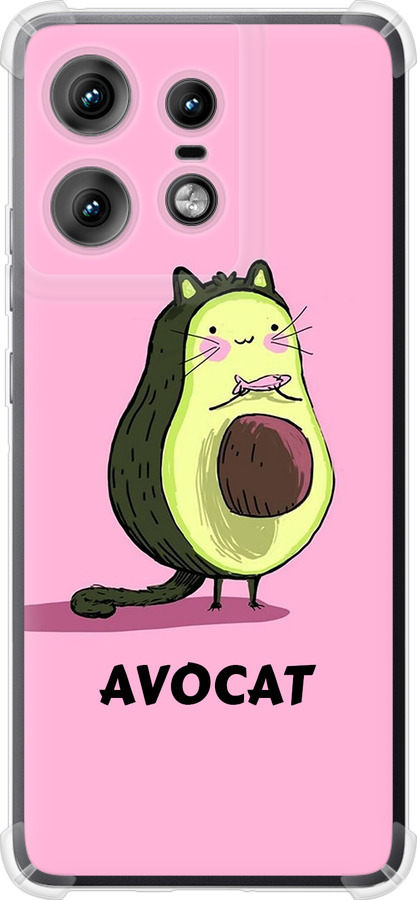 Avocat