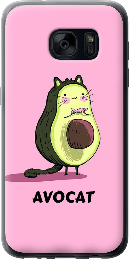 Avocat