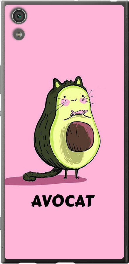 Avocat