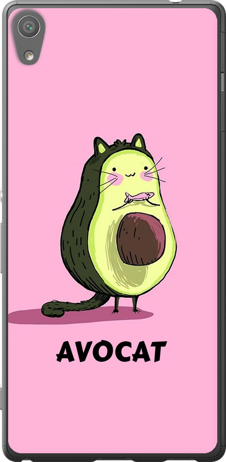 Avocat