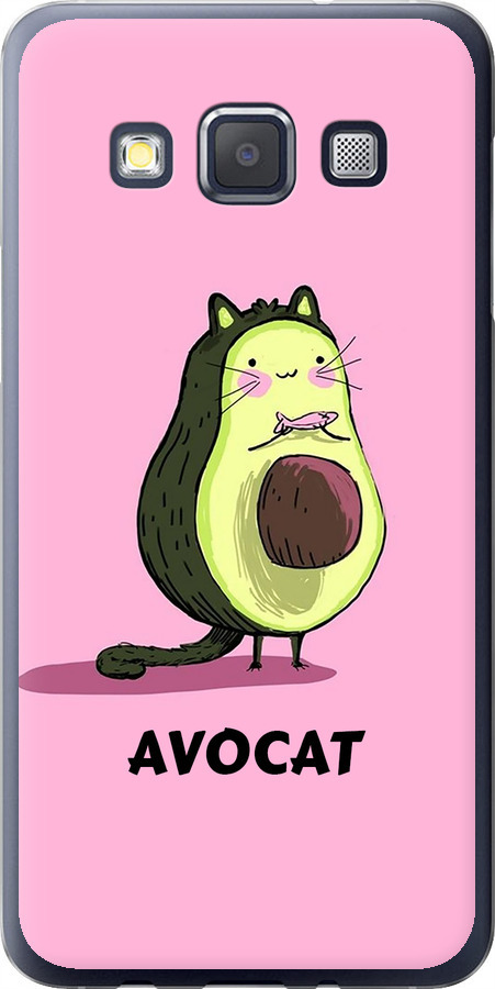 Avocat