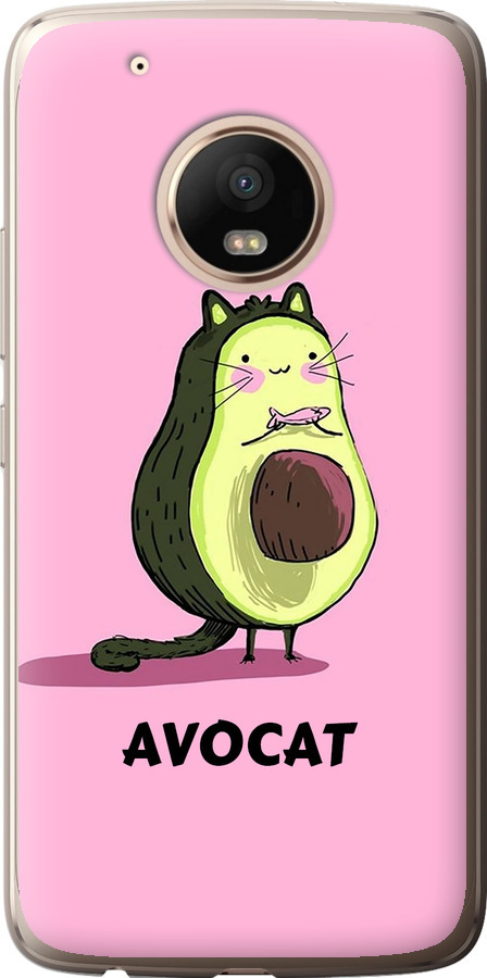 Avocat