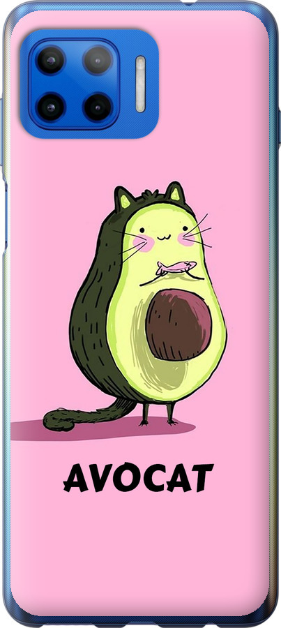Avocat