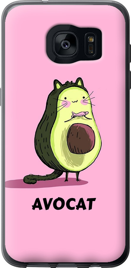 Avocat