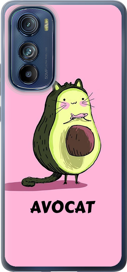 Avocat