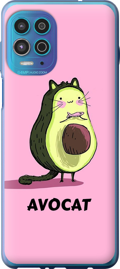 Avocat
