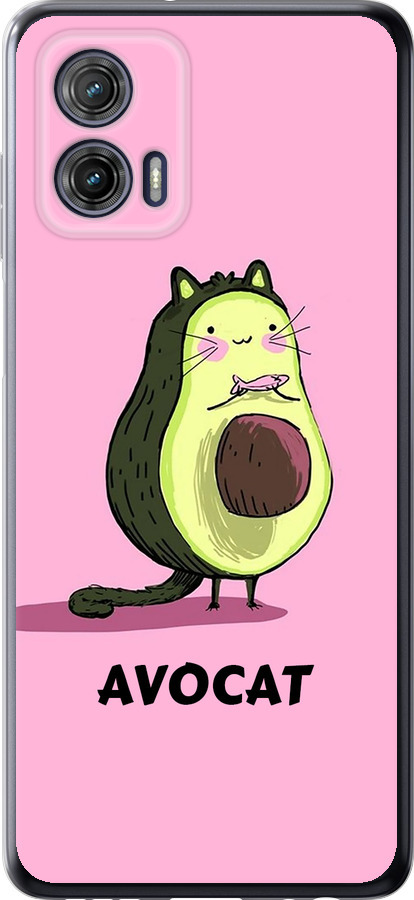 Avocat