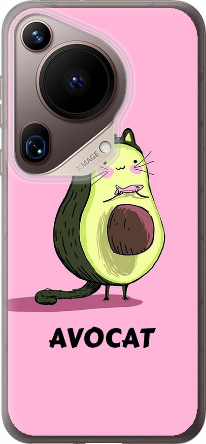 Avocat