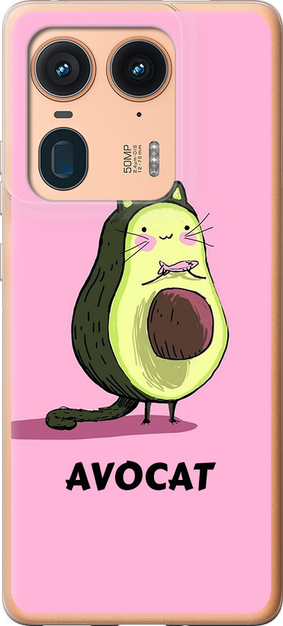 Avocat