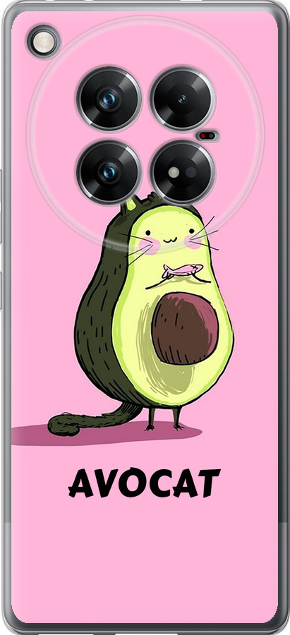 Avocat