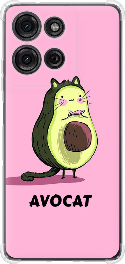 Avocat