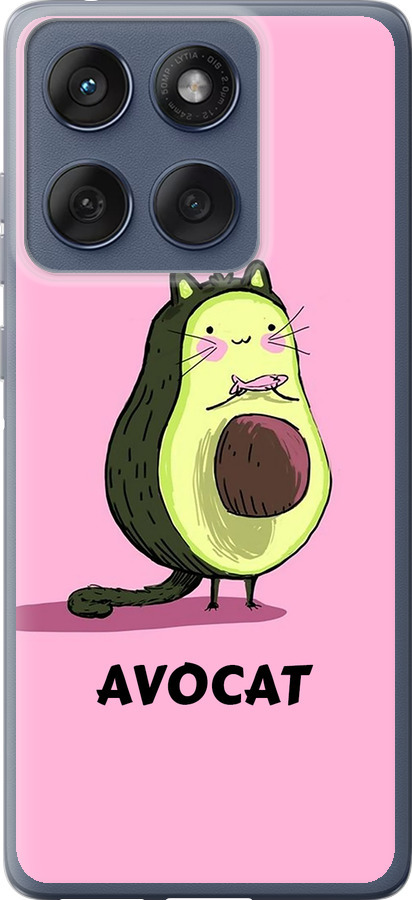 Avocat