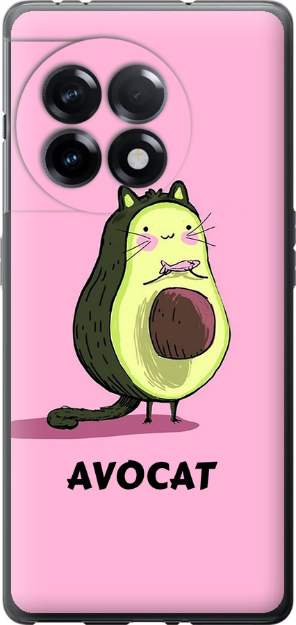 Avocat