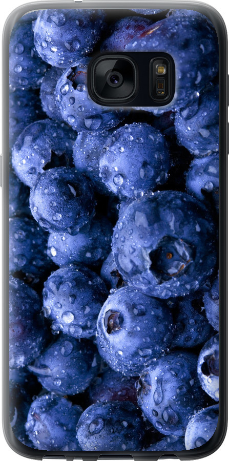 Лохина