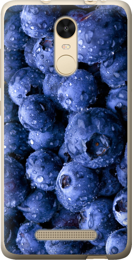 Лохина