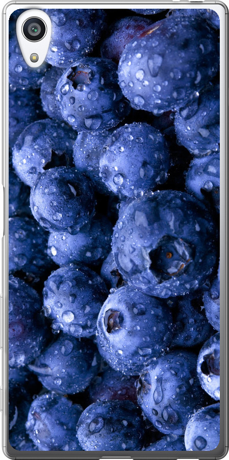 Лохина