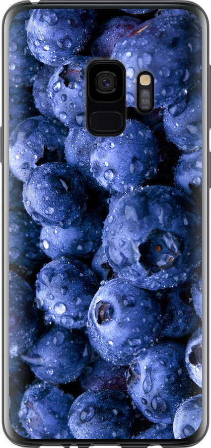 Лохина