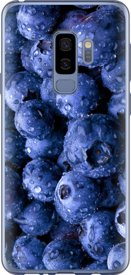 Лохина